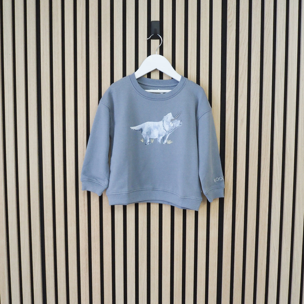 
                      
                        Sweater Blue "Dino"
                      
                    